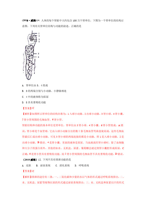 2018中考生物真题分类汇编——人体内的废物排入环境