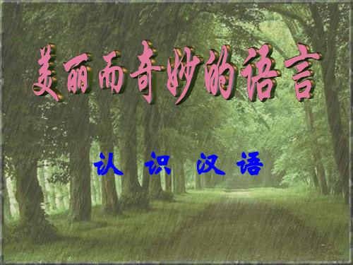 《美丽而奇妙的语言》PPT