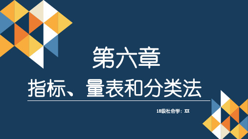 指标、量表和分类法 ppt课件