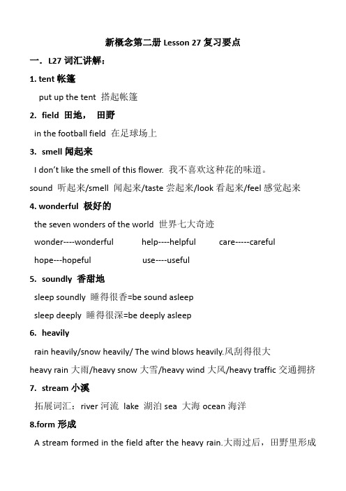 新概念第二册Lesson 27知识要点总结
