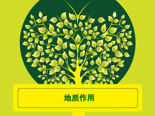 地质作用外力作用.