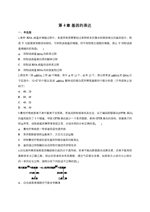 【精编】人教版 高中生物必修二 第4章 基因的表达同步 测试题(含答案)