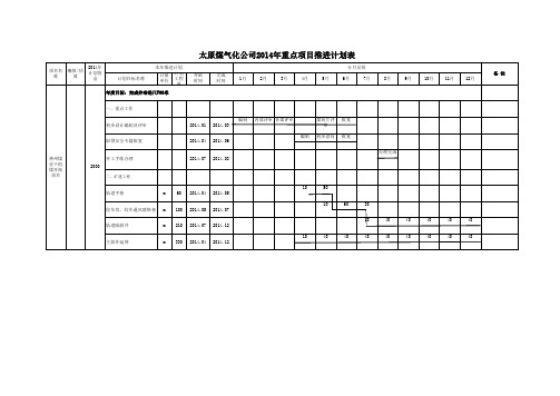 煤气化公司 重点项目推进计划表模板 (6)