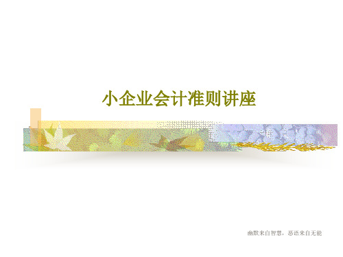小企业会计准则讲座29页PPT