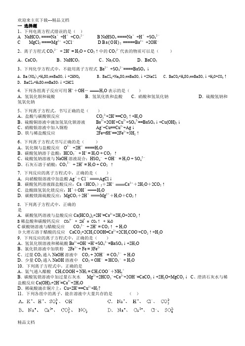 高一化学离子反应习题以及答案