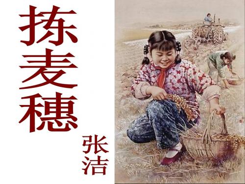 拣麦穗_课件
