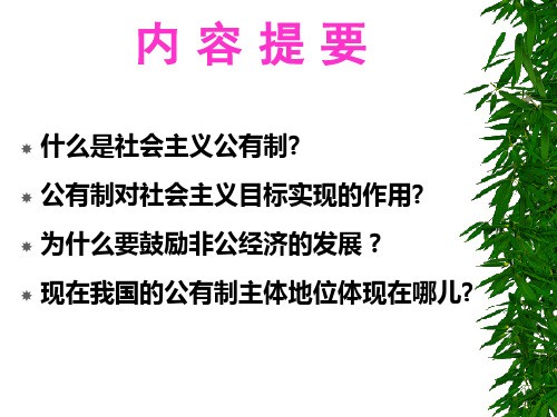 社会主义公有制的实质和核心