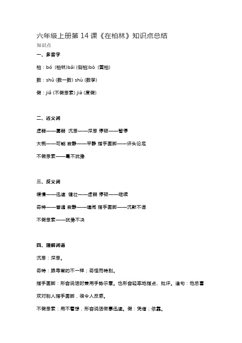 【最新】人教部编版六年级上册语文第14课《在柏林》重点及知识点归纳