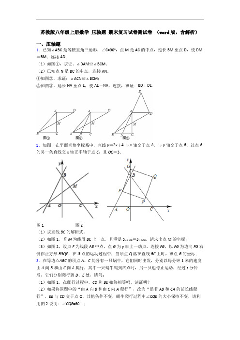 苏教版八年级上册数学 压轴题 期末复习试卷测试卷 (word版,含解析)