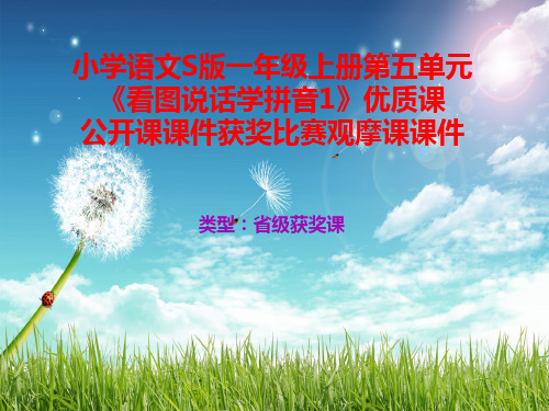 小学语文S版一年级上册第一单元《看图说话学拼音1》优质课公开课课件获奖课件比赛观摩课课件B004