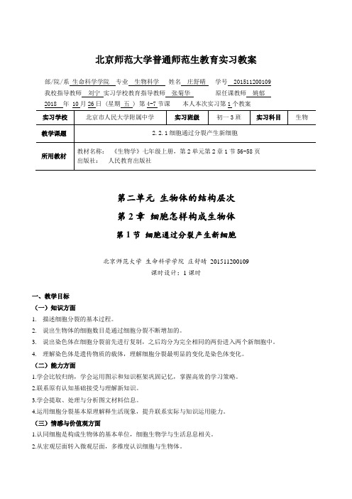 北京师范大学普通师范生教育实习教案