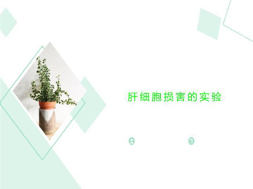 肝细胞损害的实验