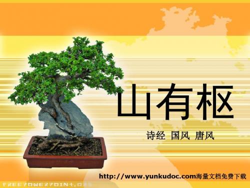 山有栲隰有杻子有廷内弗洒弗扫-山有枢国风诗经