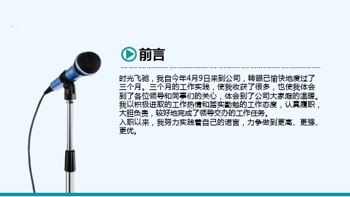 软件测试转正报告 PPT