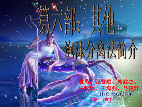 泡沫浮选法