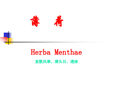 薄荷