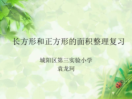 青岛版小学数学三年级下册长方形和正方形的面积复习课ppt
