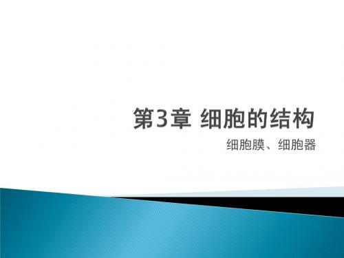 细胞的结构归纳