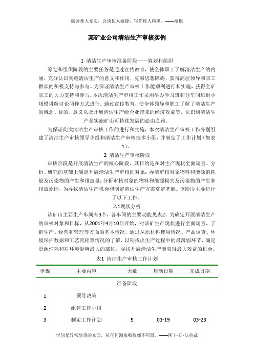 某矿业公司清洁生产审核实例