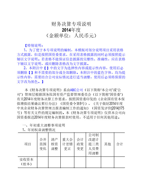 4、财务专项说明-正文-