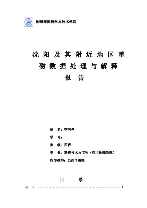 吉林大学重磁数据处理与解释报告