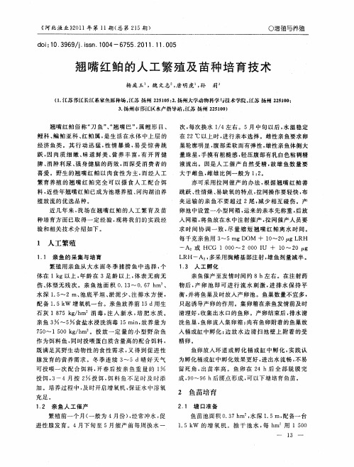 翘嘴红鲌的人工繁殖及苗种培育技术