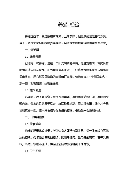 养猫 经验