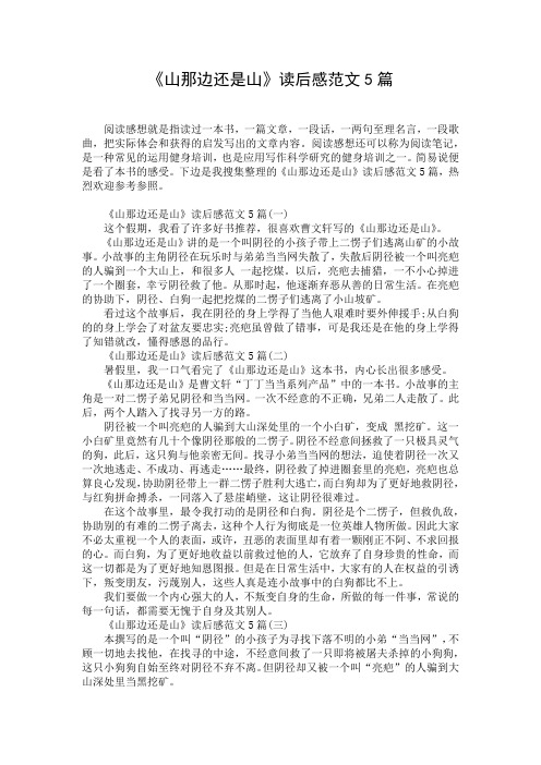 《山那边还是山》读后感范文5篇