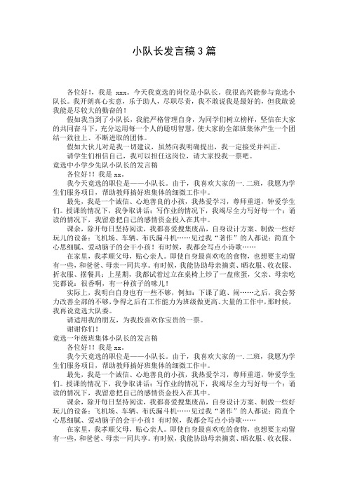 小队长发言稿3篇