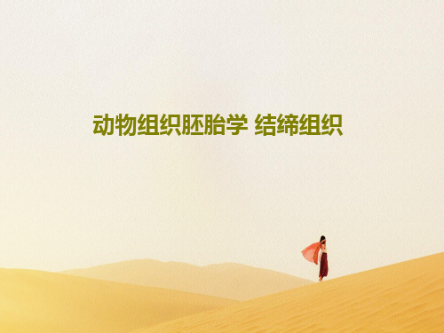 动物组织胚胎学 结缔组织共64页PPT
