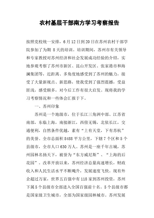 农村基层干部南方学习考察报告