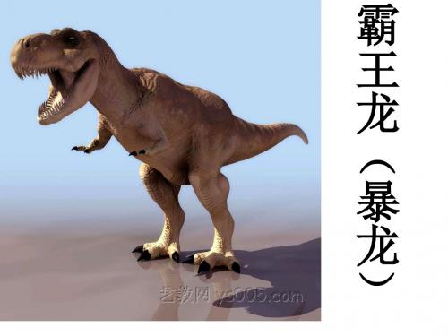 恐龙的秘密