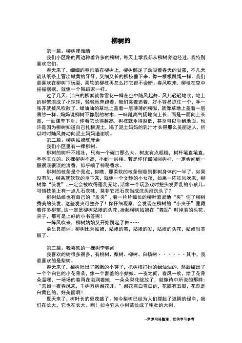 柳树的_写景作文