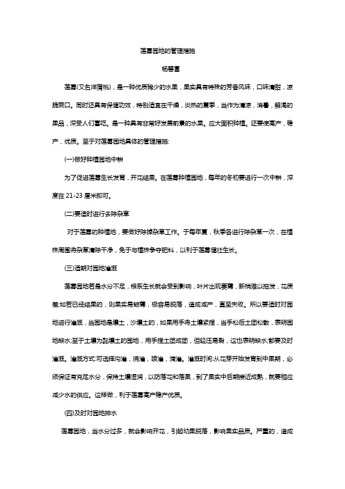莲雾园地的管理措施