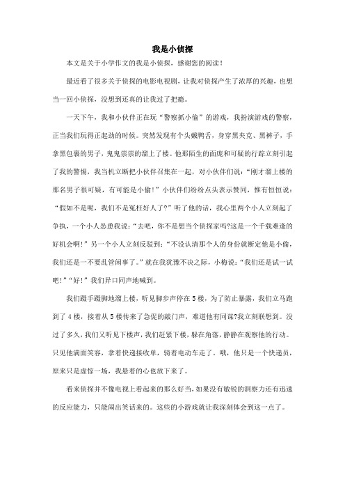 我是小侦探_小学作文