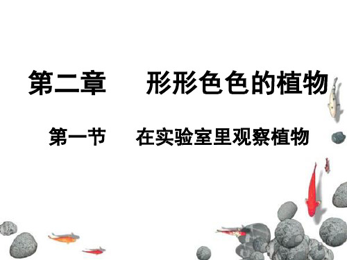 七年级生物学上冀少版第三章第一节在实验室里观察植物