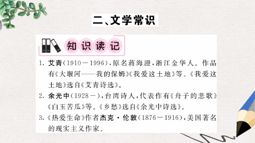 【推荐】中考语文一轮复习教材复习讲读九下二文学常识精编课件