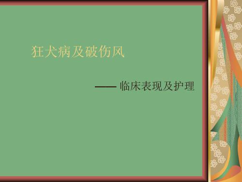 狂犬病及破伤风的临床表现及护理