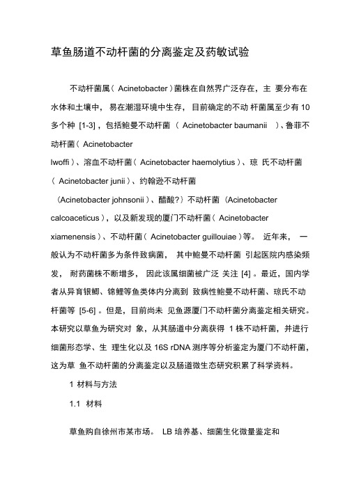 草鱼肠道不动杆菌的分离鉴定及药敏试验