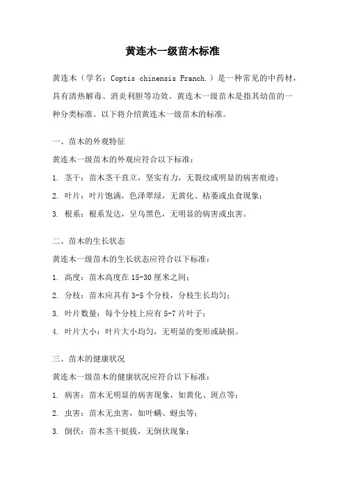黄连木一级苗木标准
