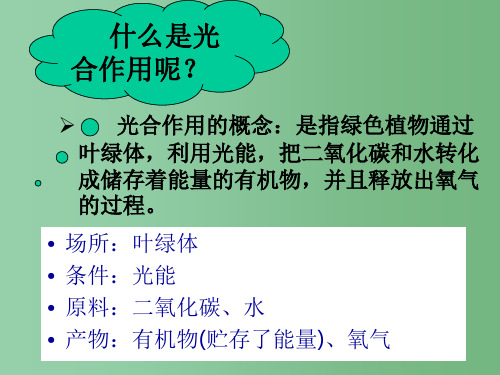 高中生物 5.4《能量之源—光与光合作用》9课件 新人教版必修1