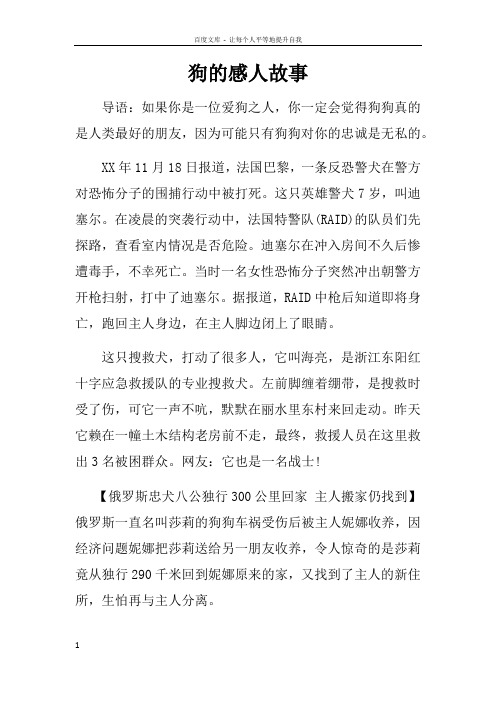 狗的感人故事_1
