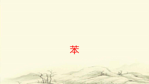 沪科版高中化学高二下册-11.4 一种特殊的碳氢化合物——苯  课件 (共29张PPT)