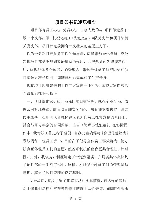 精选-项目部书记述职报告-word范文