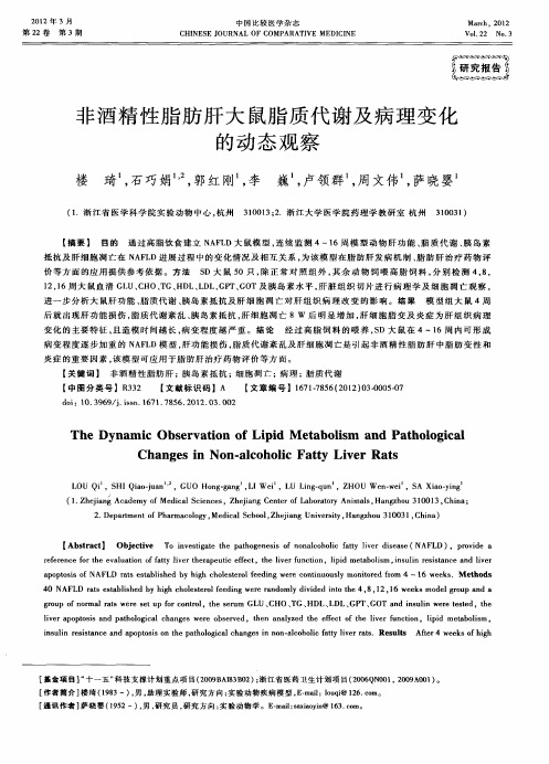 非酒精性脂肪肝大鼠脂质代谢及病理变化的动态观察