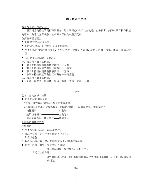 根及根茎类中药(给学生的概要新版)