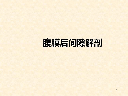 腹膜后间隙解剖PPT课件