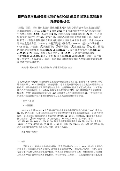 超声血流向量成像技术对扩张型心肌 病患者左室血流能量消耗的诊断价值