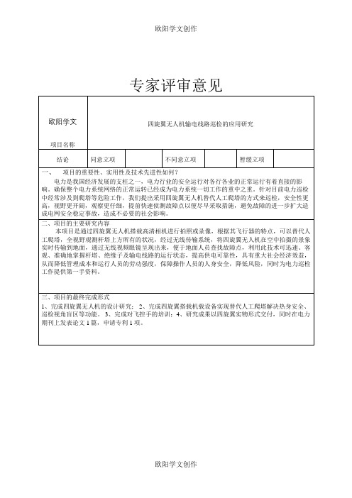 专家评审意见模板-专业专家评审意见