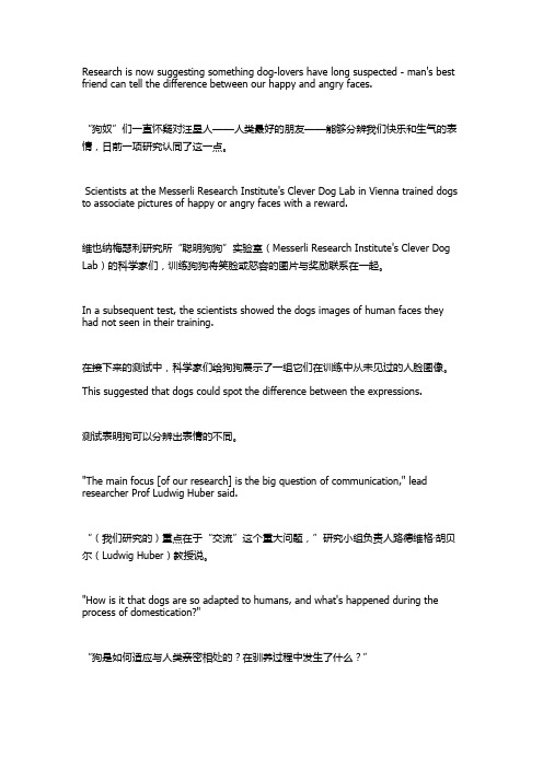 双语：狗狗能看出你是生气还是快乐